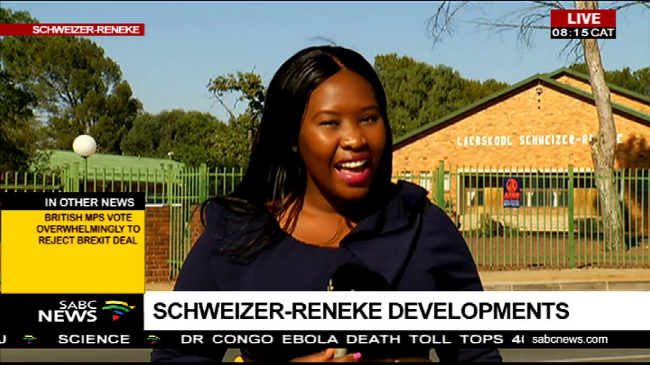 Schweizer-Reneke developments