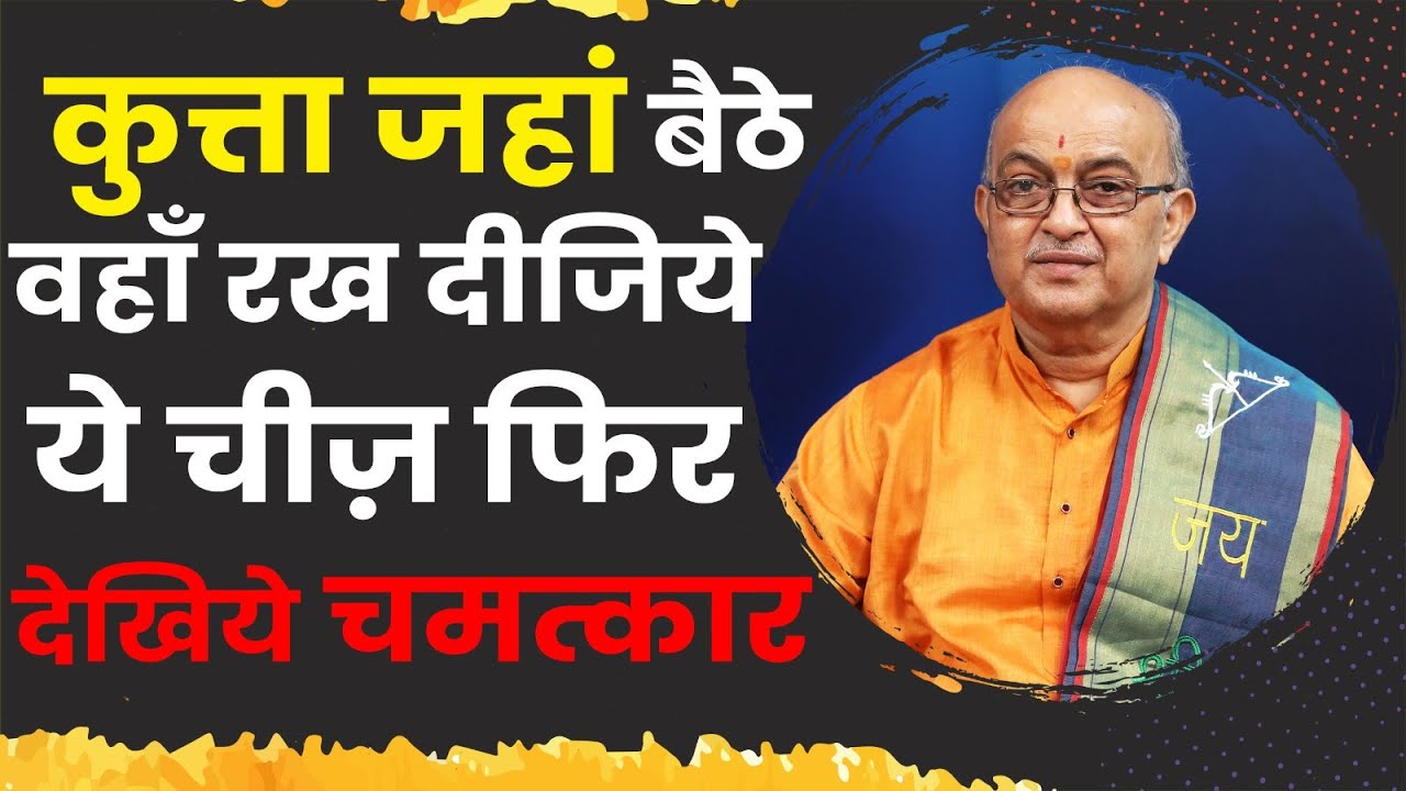 कुत्ता जहां  बैठे वहाँ रख दीजिये ये चीज़ फिर देखिये चमत्कार