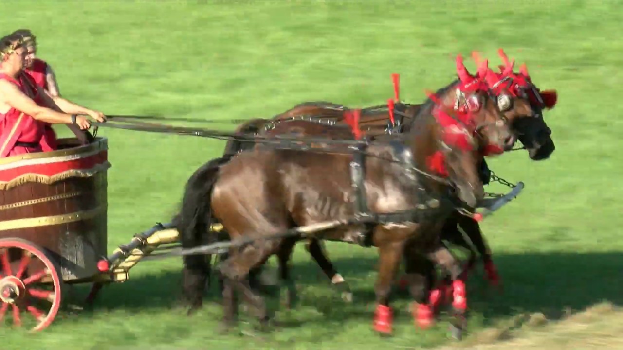 Promocijska dirka štirivprege - Ben HUR  , Klub za konjski šport ŠENTJERNEJ