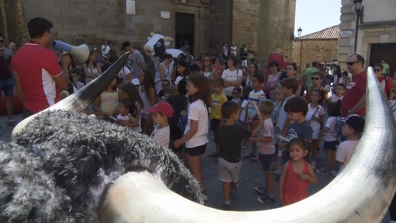 Los pequeños visontinos disfrutan de una mañana de carretones y encierros infantiles