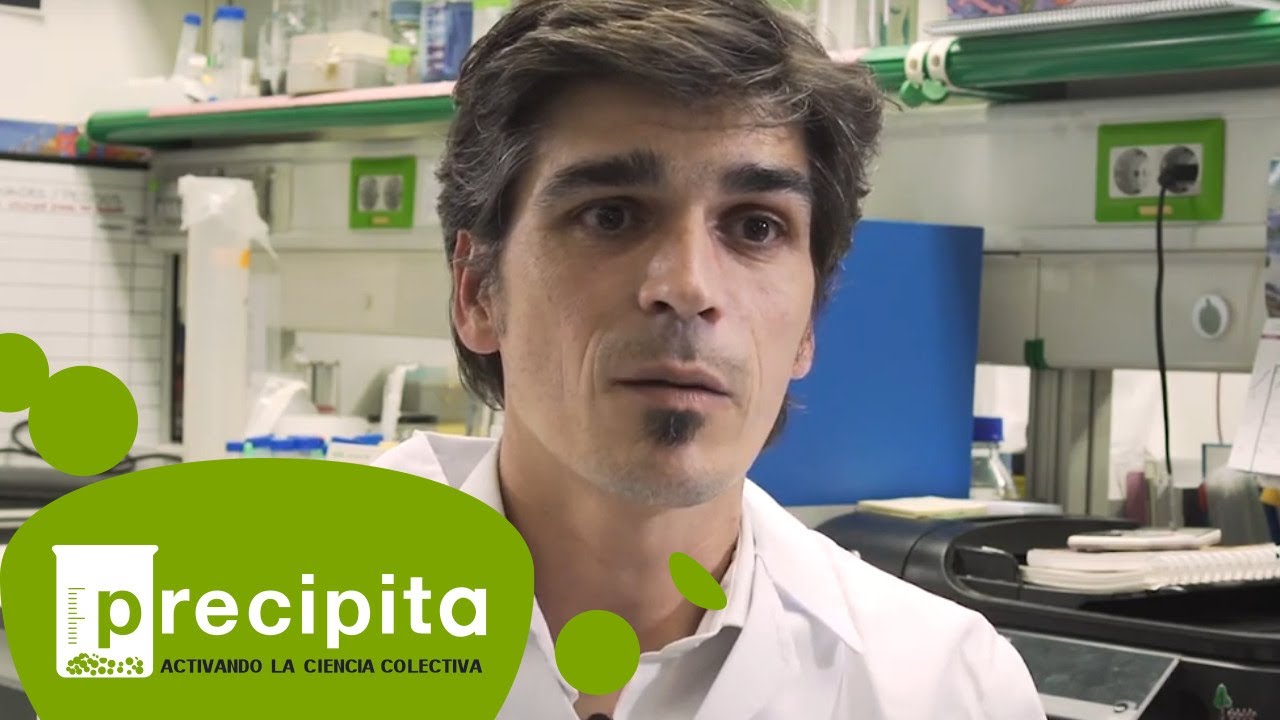 Medicina Personalizada para las GRINpatías, una enfermedad neuropediátrica rara.