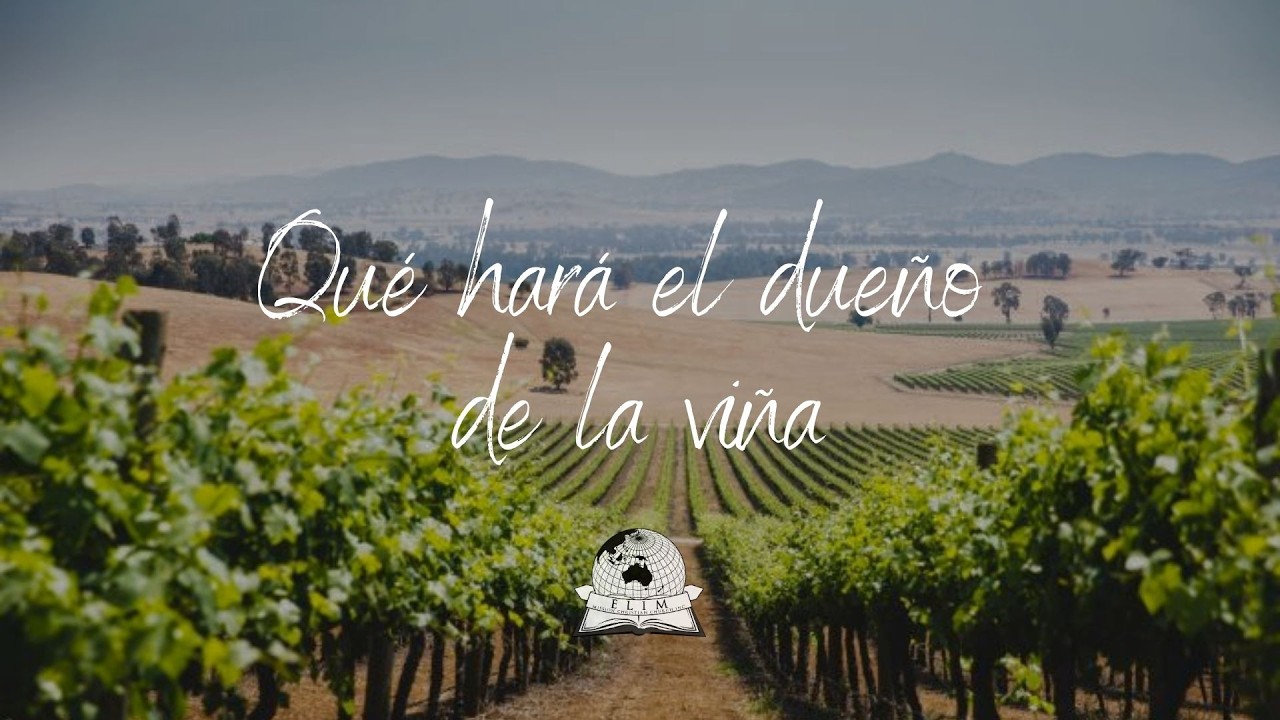 Qué hará el dueño de la viña
