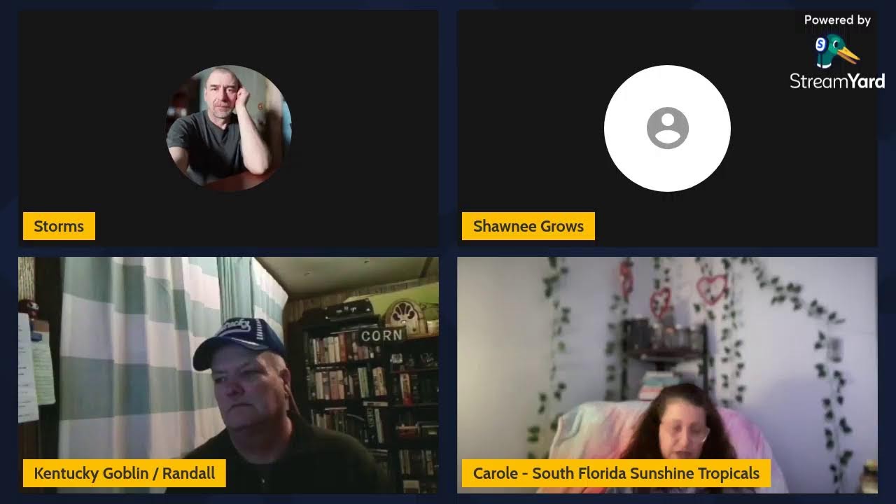 Live Sunday Chats