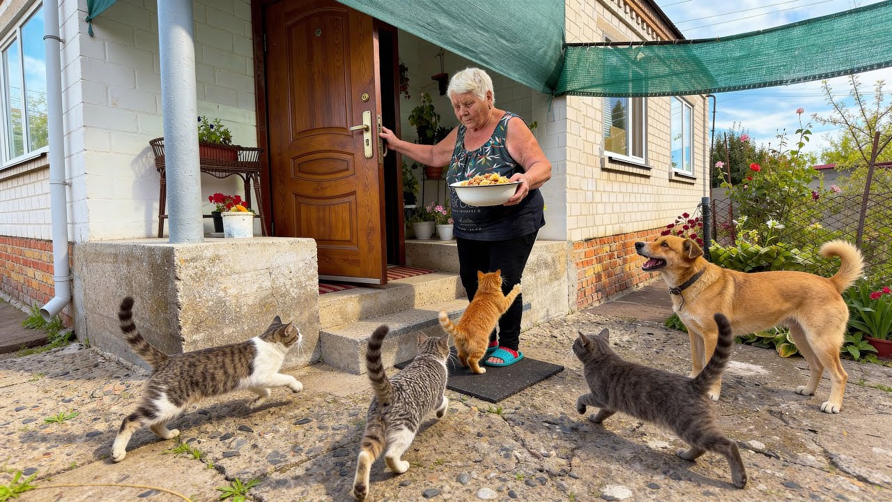 Forgotten Mountain Grandma | A Difficult Life High in the Carpathians