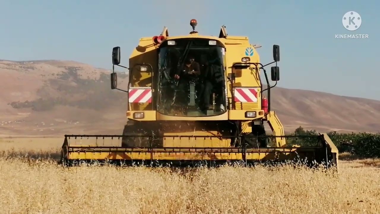 ٢٦ يونيو، ٢٠٢٢