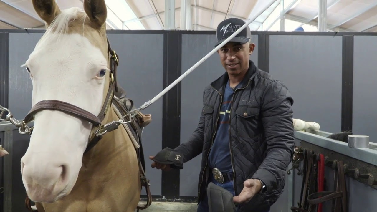 HOW TO WRAP YOUR HORSES LEGS
