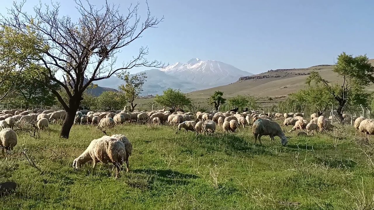 2021 Memleketimde Bahar