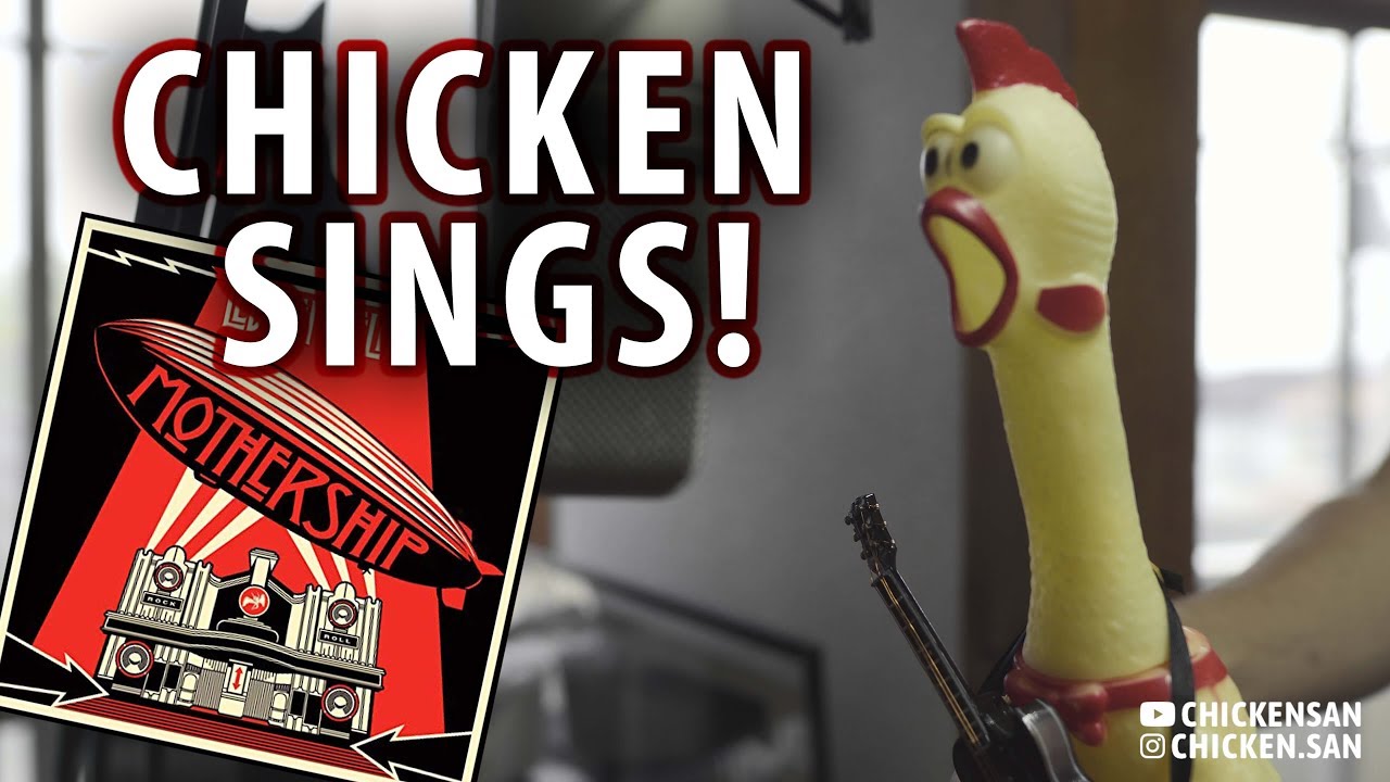 Immigrant Song | Rubber Chicken Cover 【Chickensan】 🐔