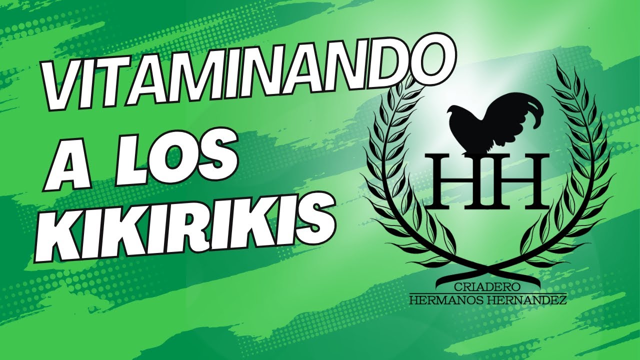 VITAMINANDO A LOS KIKIRIKIS