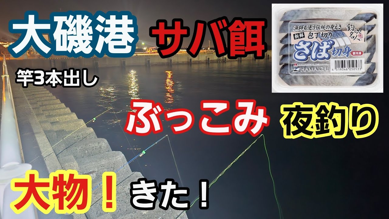 【大磯港】執念のぶっこみ夜釣り サバ餌（切り身）で大物釣れた！ 竿3本出し アタり多め