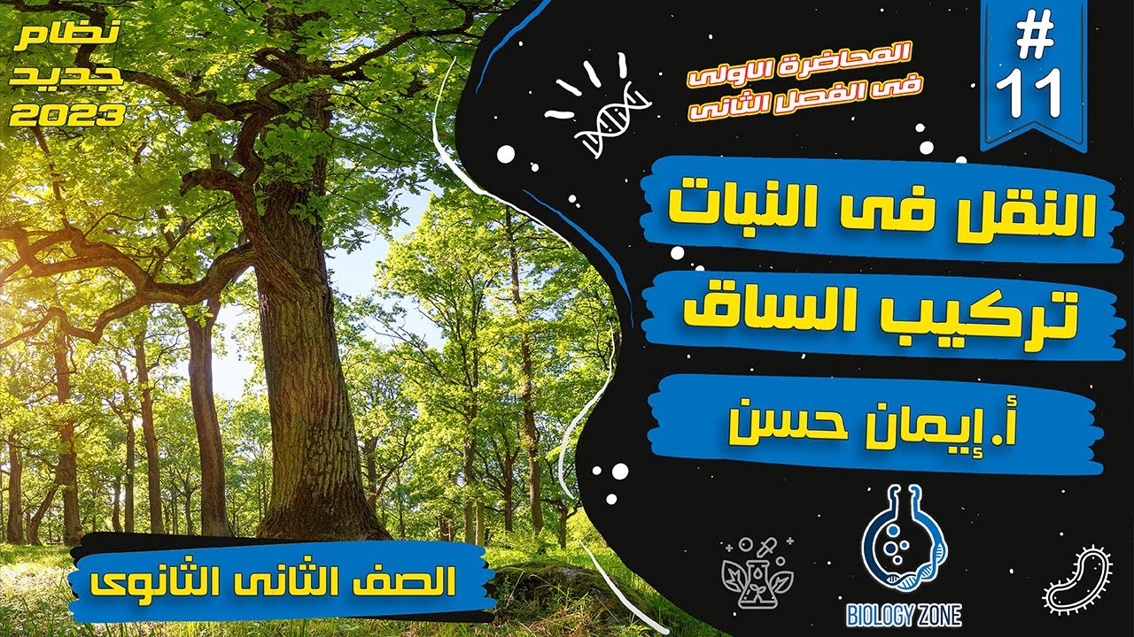 #11 | شرح درس النقل فى النبات - تركيب الساق | احياء تانيه ثانوى الترم الاول 2023 | إيمان حسن