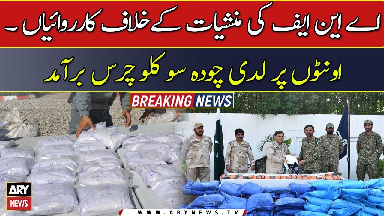 ANF seizes drugs transported through camels