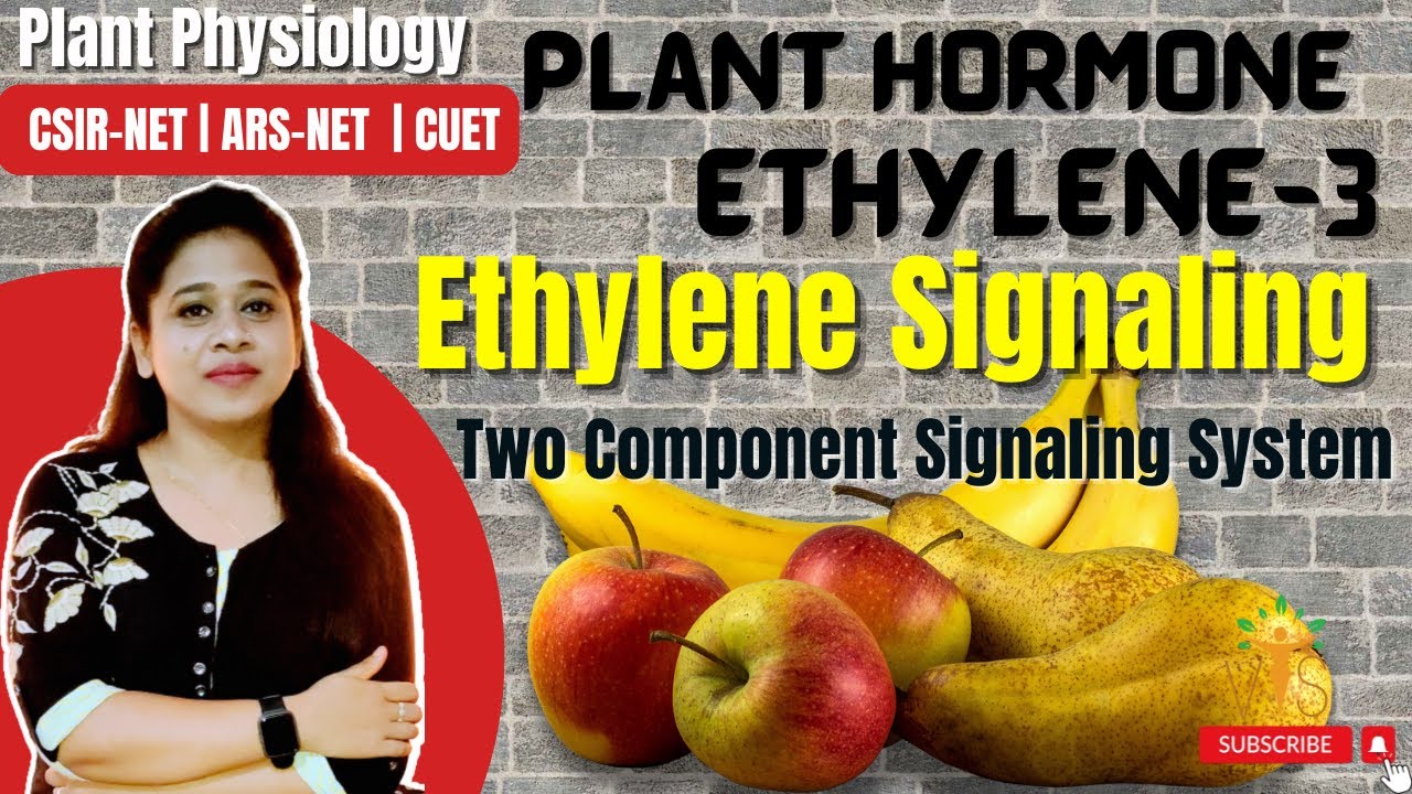 Plant Hormone Ethylene (Part-3) | Ethylene Signaling | Ethylene Receptor | Two Component Receptor