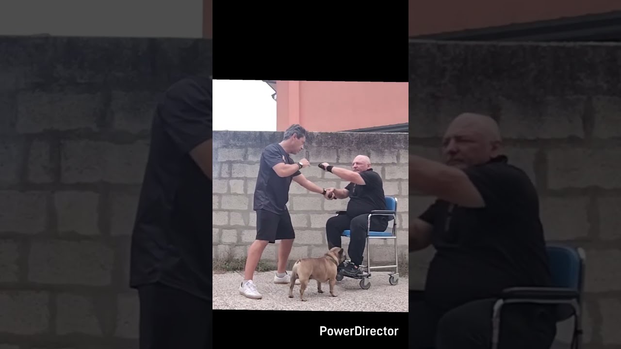 Selbstverteidigung im Rollstuhl Latosa Escrima Gmw Alessandro Fantini 