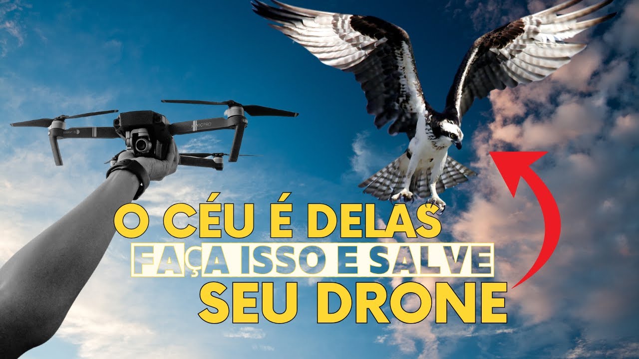 Como EVITAR ATAQUES de pássaros no seu DRONE (Funciona Mesmo!)