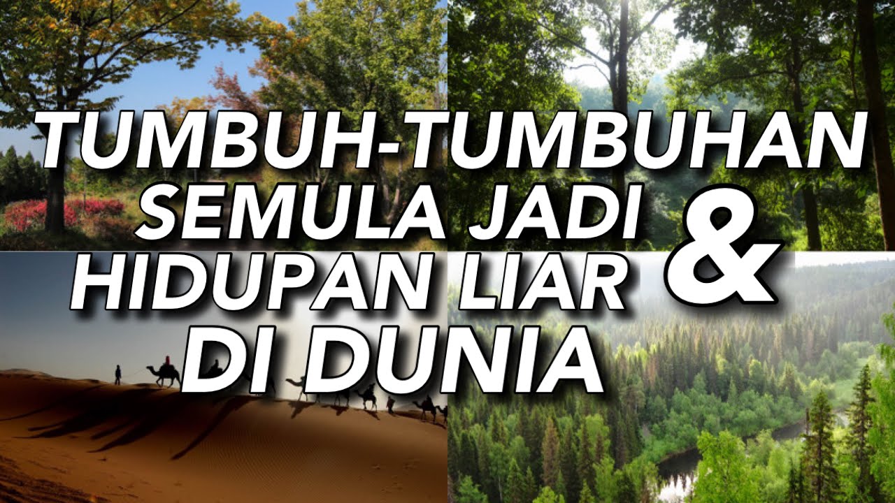 TUMBUH -TUMBUHAN SEMULA JADI DAN HIDUPAN LIAR DI DUNIA