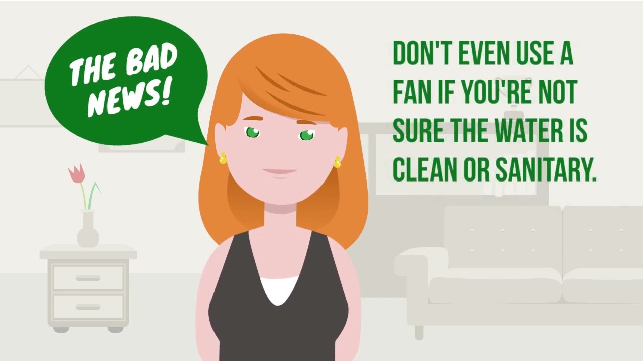 Sewage Cleanup Chicago - The CleanUP Guys 773-885-8528