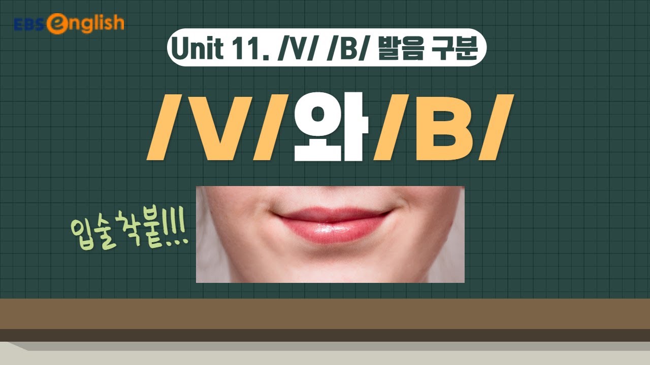 V[브이]와 B[비] 발음 차이 종결│이현석의 정면돌파 스피킹│EBSe