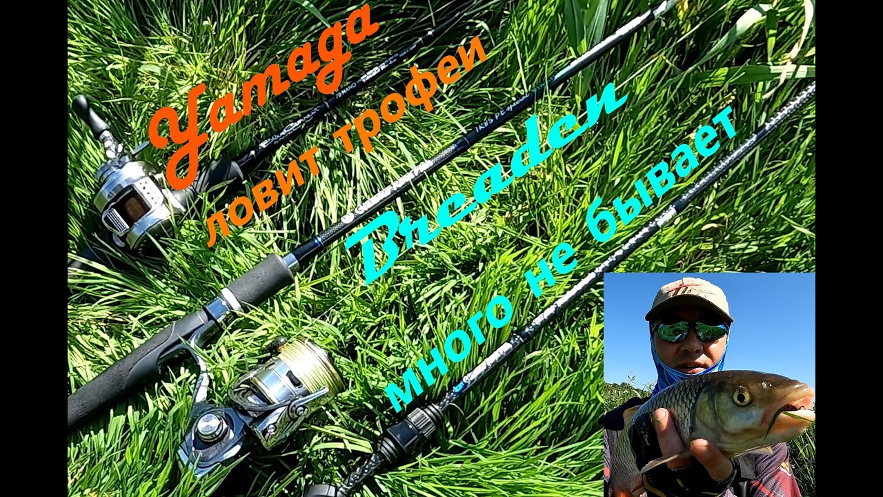 Breaden много не бывает, а Yamaga blanks ловит трофеев. Рыбалка с друзьями.