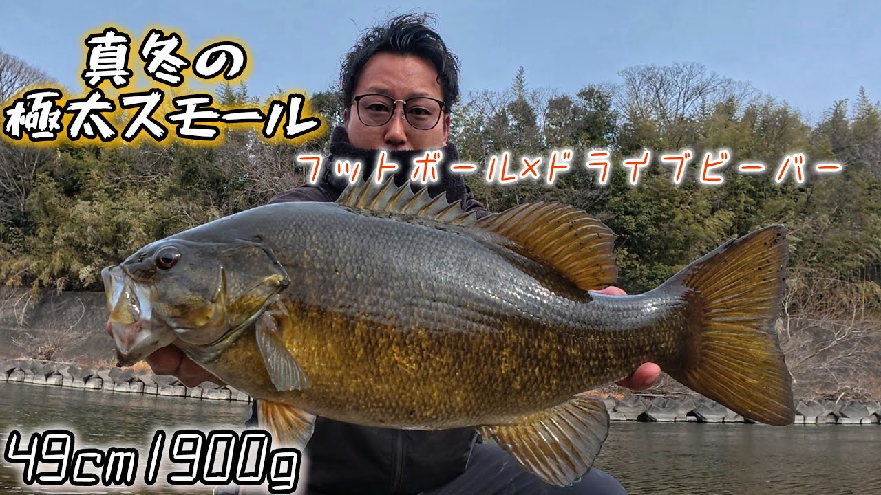 【スモールマウスバス】真冬のリアクションフットボールで極太スモールGET❗