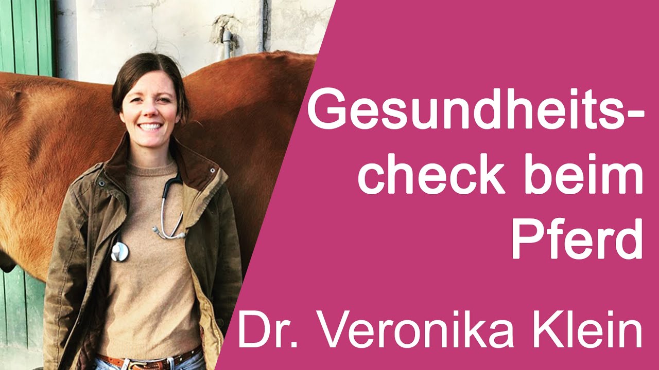 Dr. Veronika Klein - Gesundheitscheck beim Pferd - Teil 1 - CHS2020