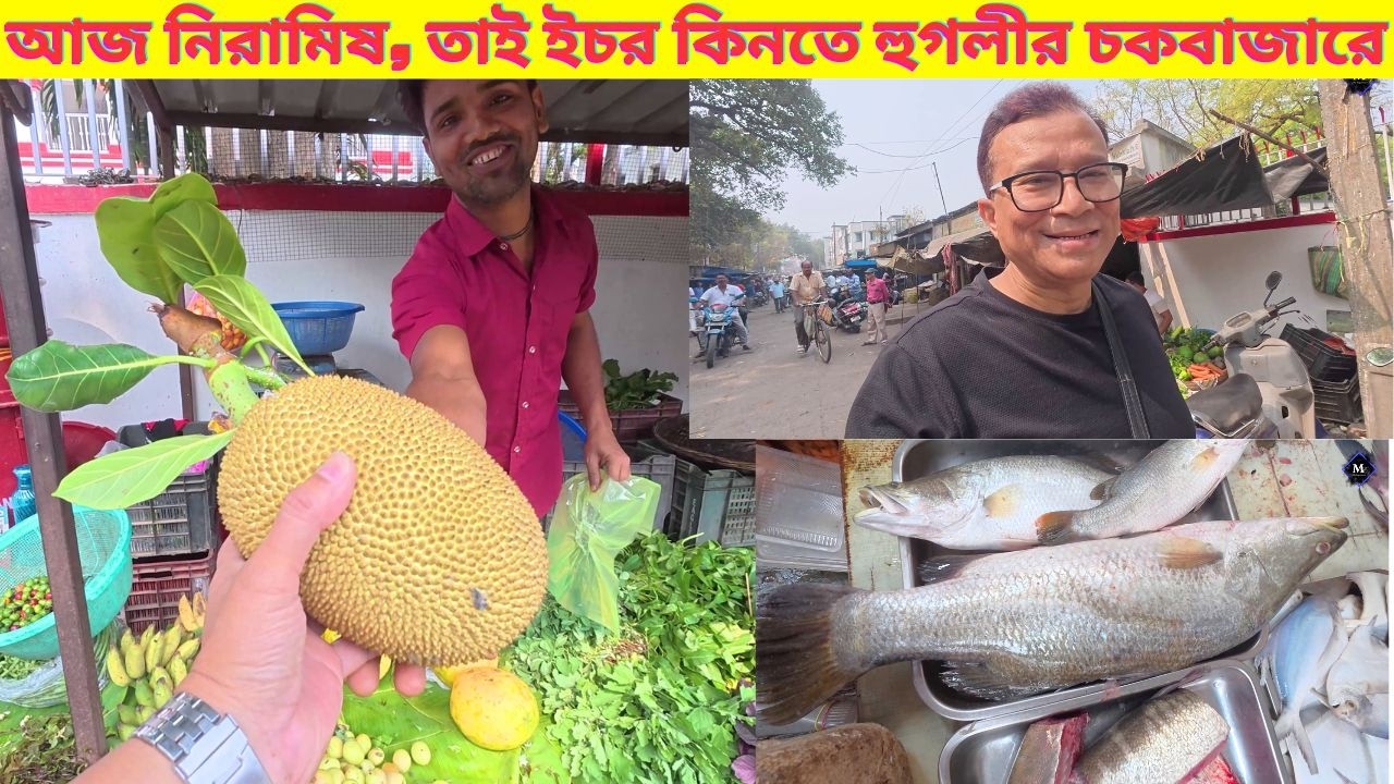 আজ নিরামিষ, তাই ইচর কিনতে হুগলীর চকবাজারে। Fresh Fish & Vegetable Market | 4K |My Experience Channel