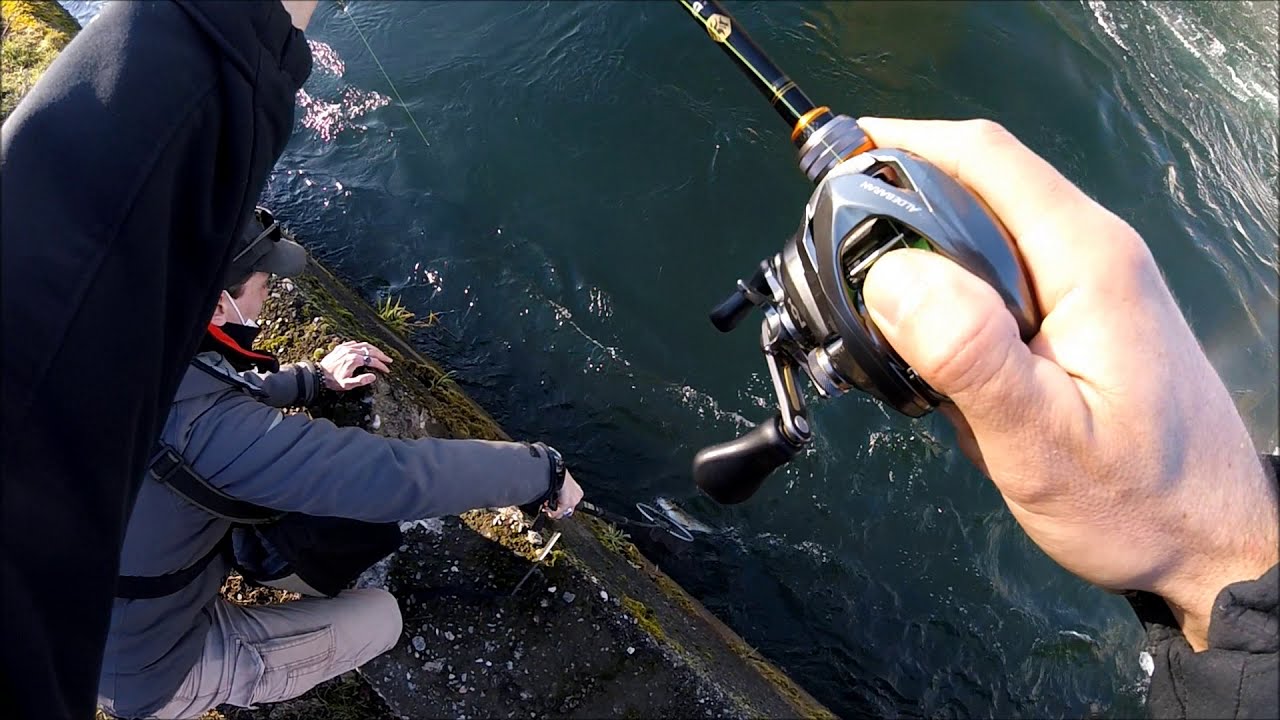 -BIG ZANDER- pesca in canale con attrezzatura da CASTING(bfs)...lucioPERCA