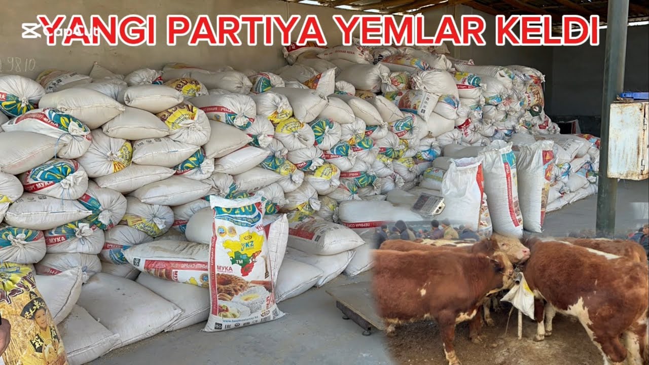 YANGI PARTIYA YEMLAR KELDI QÕYLAR UCHUN VA BUQALAR UCHUN ISHONARLI SIFATLI YEMLAR 