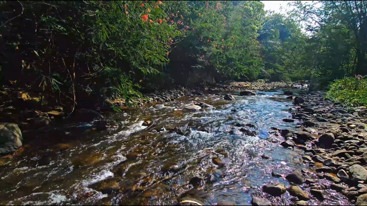 Nature River Ambience 🌊 Soothing Rapids for Study, Sleep & Relaxation