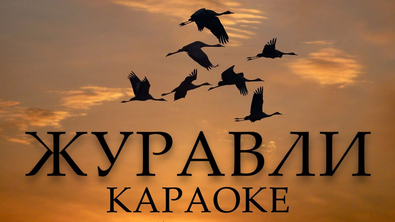 ЖУРАВЛИ КАВЕР / КАРАОКЕ { KORG PA1000 }