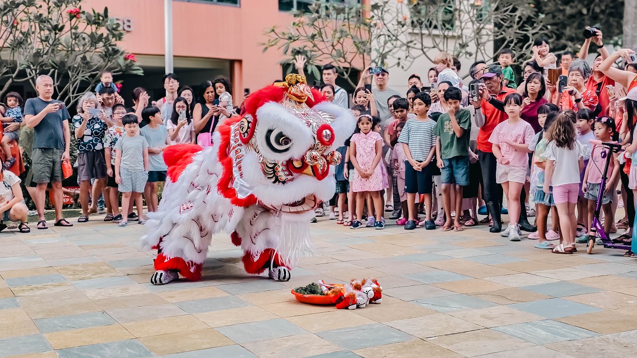 封艺龙狮学院 Feng Yi Dragon & Lion Dance