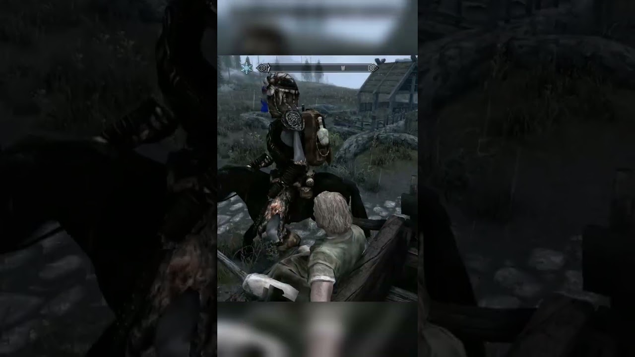 I Can't Believe This Skyrim Guard DID THIS!!