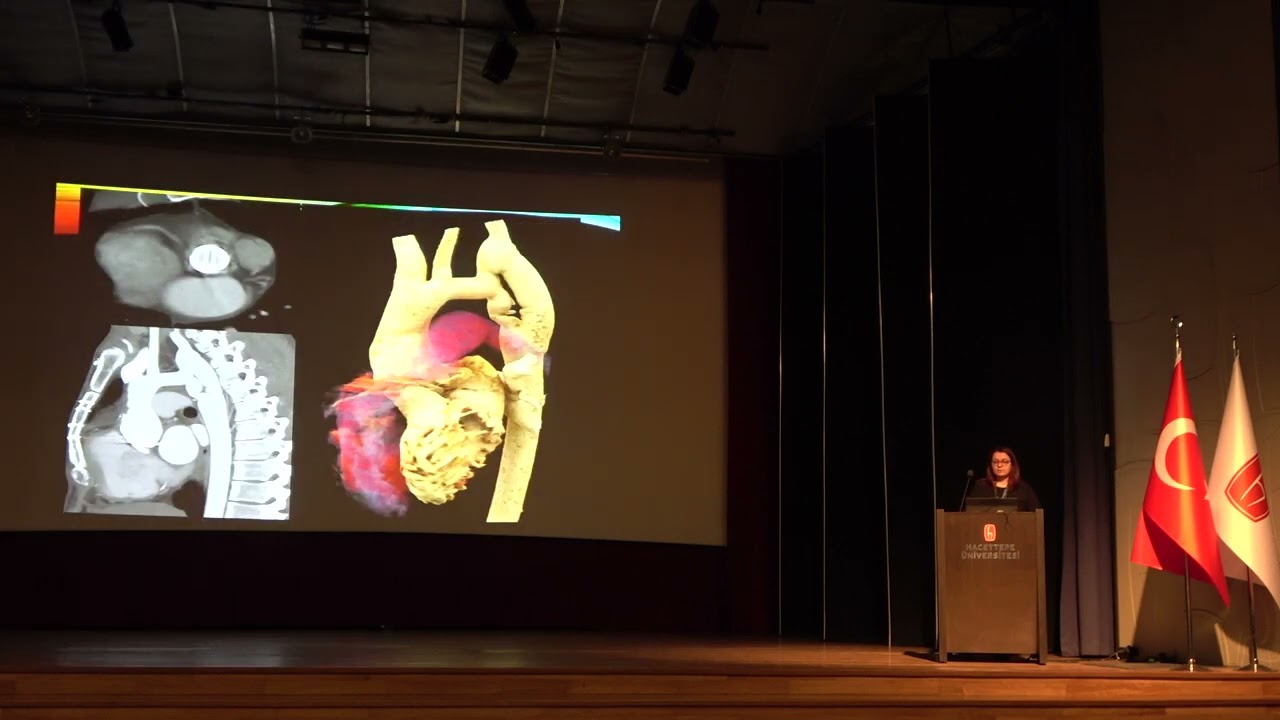 Hacettepe Mediverse Toplantıları VI