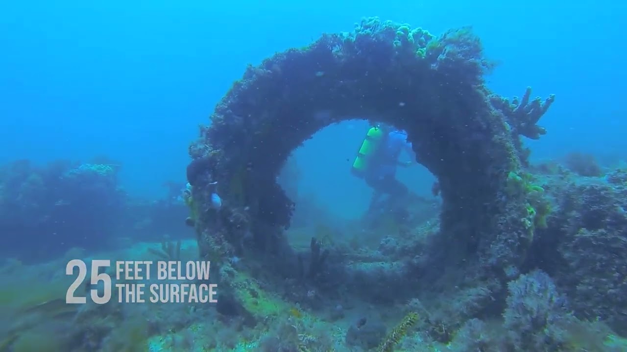 Citrus County in Focus: Artificial Offshore Reef