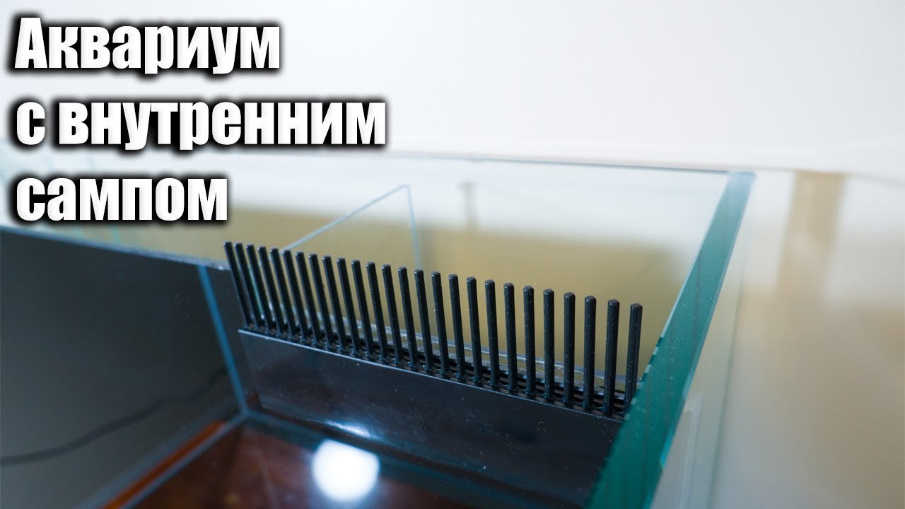 Аквариум со встроенным сампом своими руками.  Пошаговая инструкция