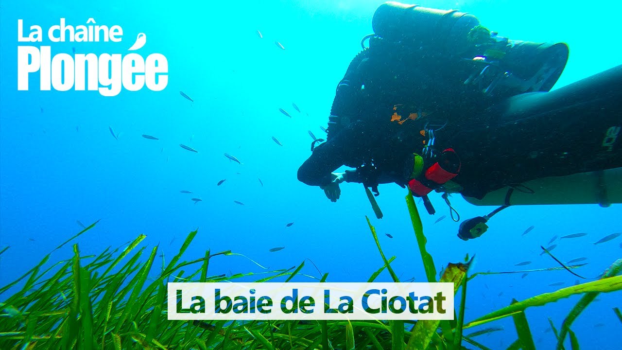 [EXPLO] - PLONGER DANS LA BAIE DE LA CIOTAT - P38