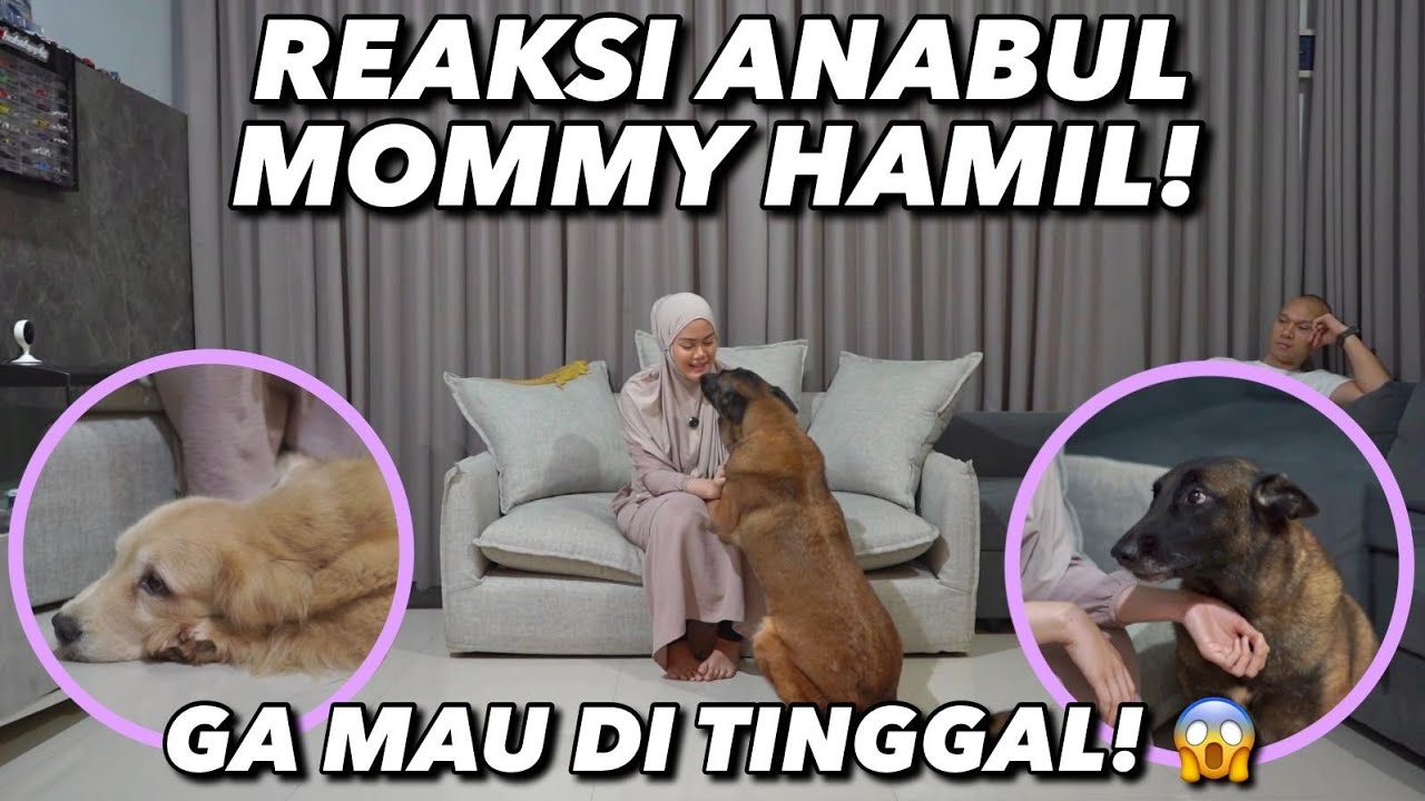 TERHARUU REAKSI ANABUL TAU MOMMY HAMIL 🥲