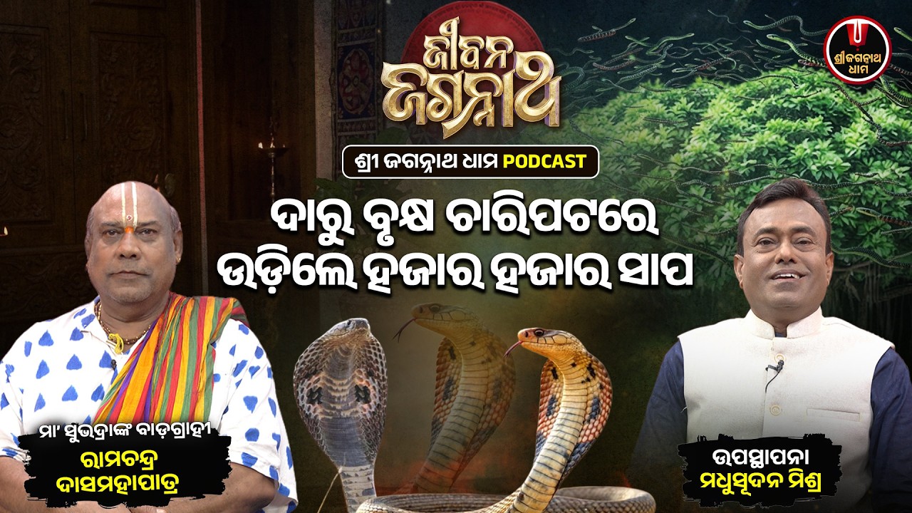 ଦାରୁ ବୃକ୍ଷ ଚାରିପଟରେ ଉଡ଼ିଲେ ସାପ.. | Jibana Jagannath Podcast | Ep - 10 | Ramachandra Dasmohapatra