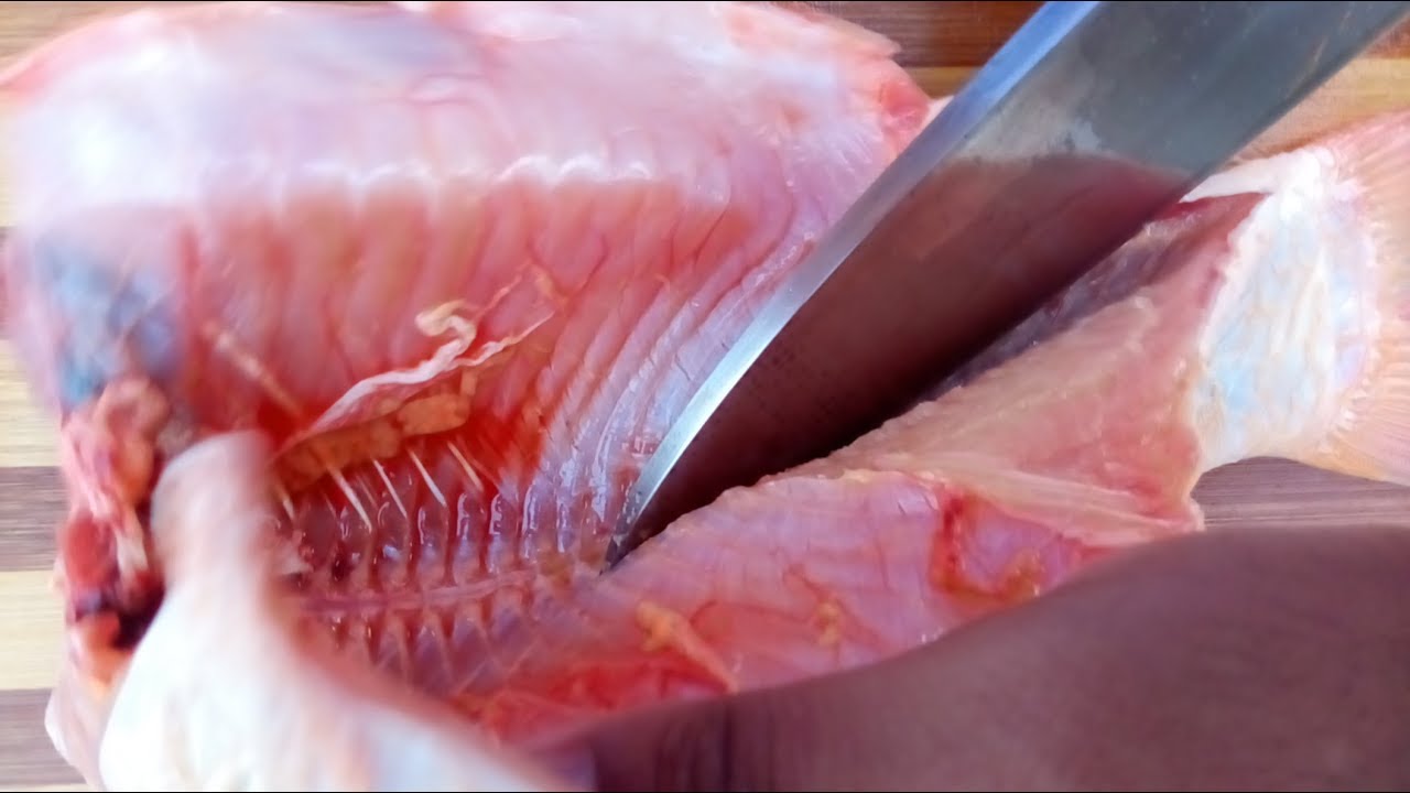 Japanese Deba knife skill || fish fillet (魚の切り身)and Sashimi(刺身) by carp fish #js_kitchen786