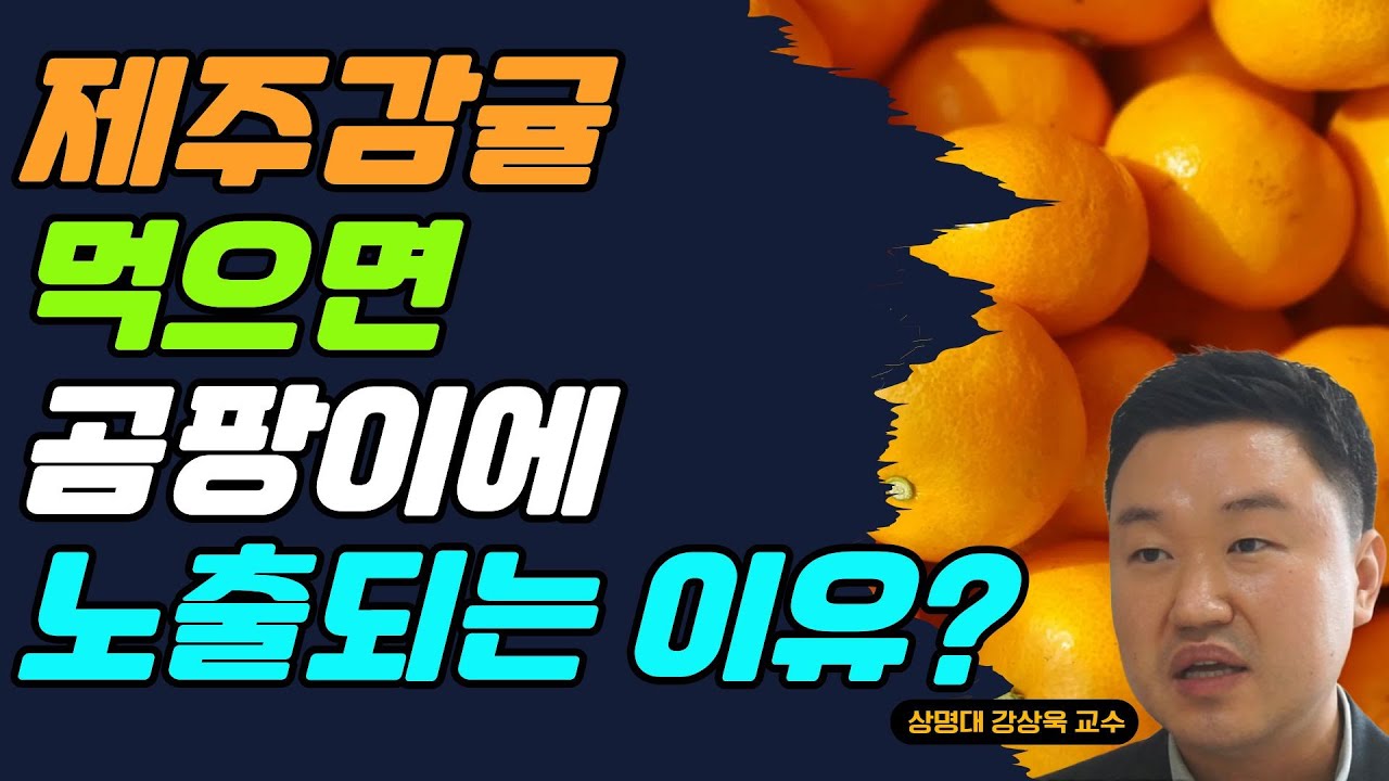 제주감귤 먹으면 곰팡이에 노출되는 이유는? (강상욱 교수)