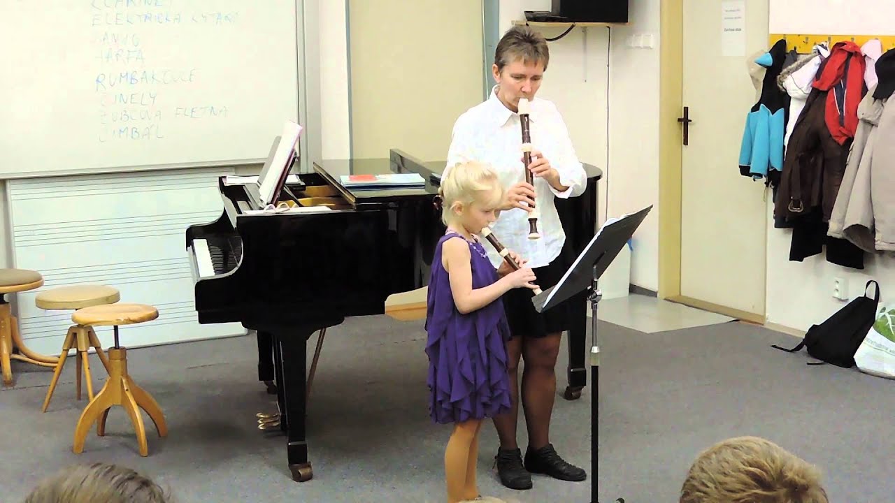 Flétna ZUŠ Chlumec - Flautoškola 1, Bransle