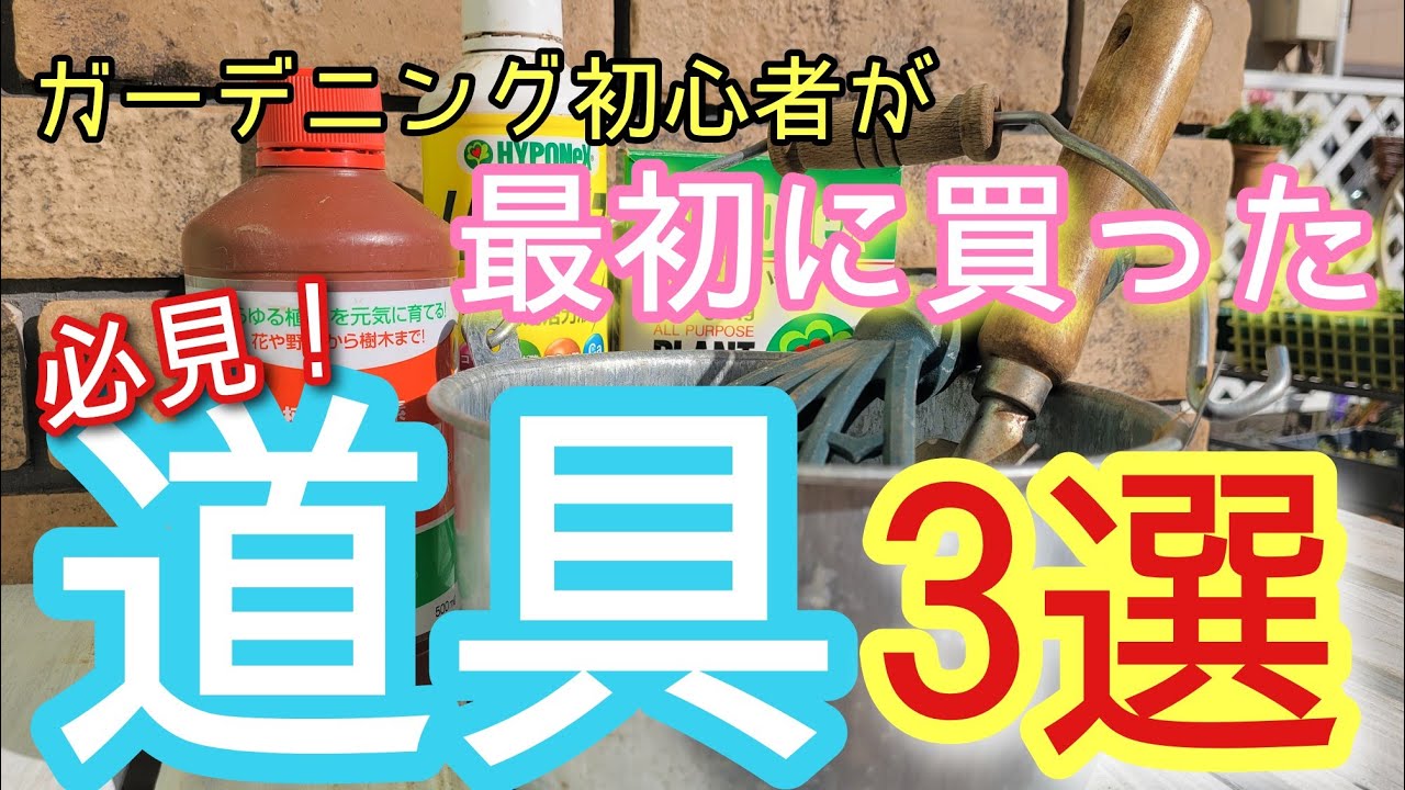【チャプター付】初心者が最初に買った道具３選／肥料ってどれを選べばいいの？そんなお悩み解決します！/シクラメンの植え付け