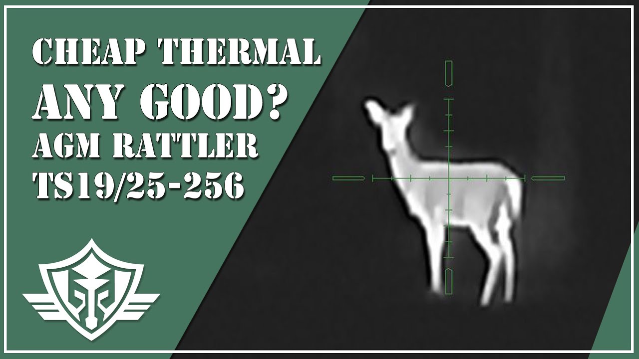 AGM Rattler TS19-256 and TS25-256 Thermal Scope Review