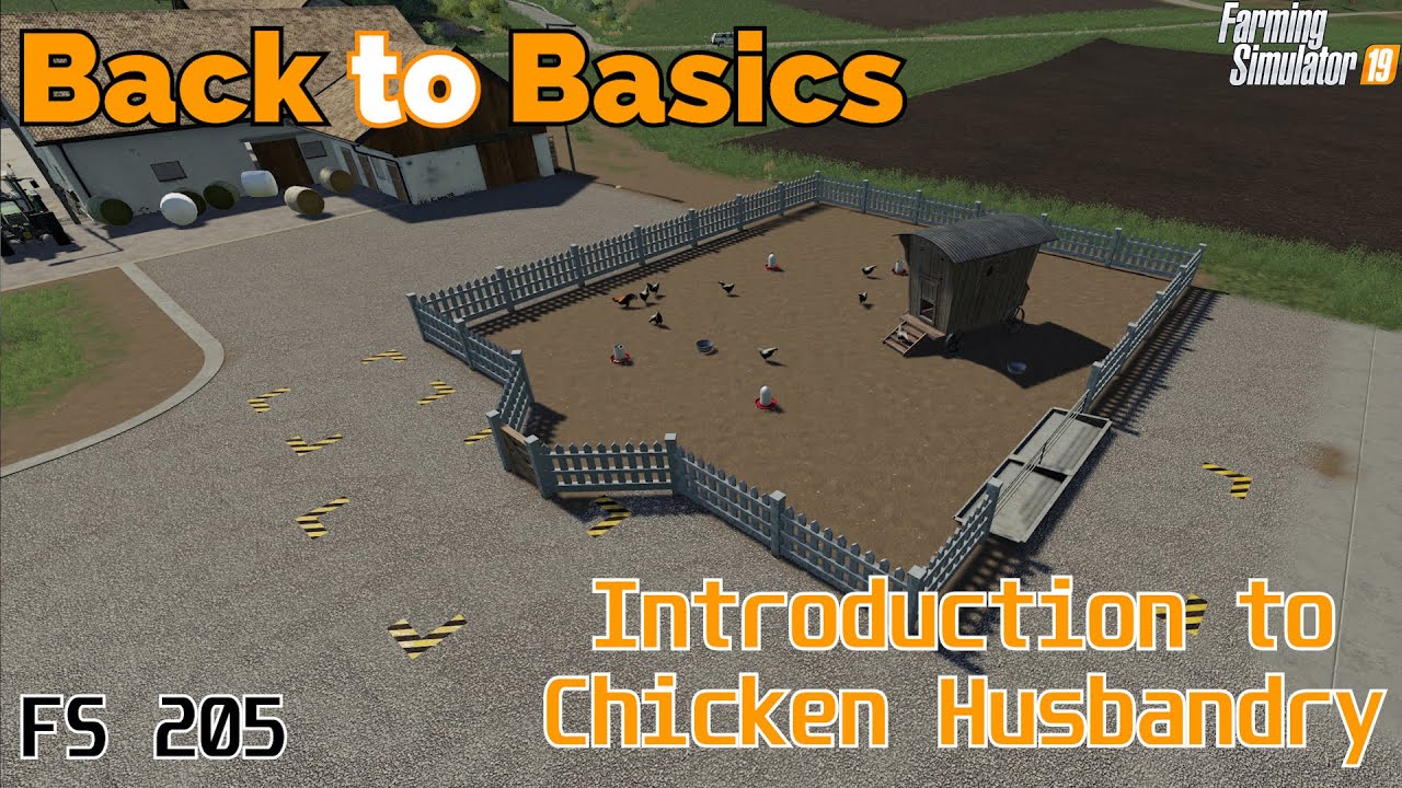 Farming Simulator 19 - Back to Basics - A beginners guide to: Chickens - FS205