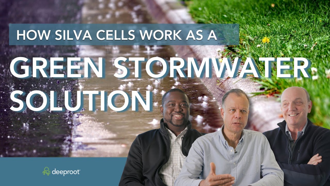 DeepRoot Silva Cells as a Green, LID Stormwater Tool