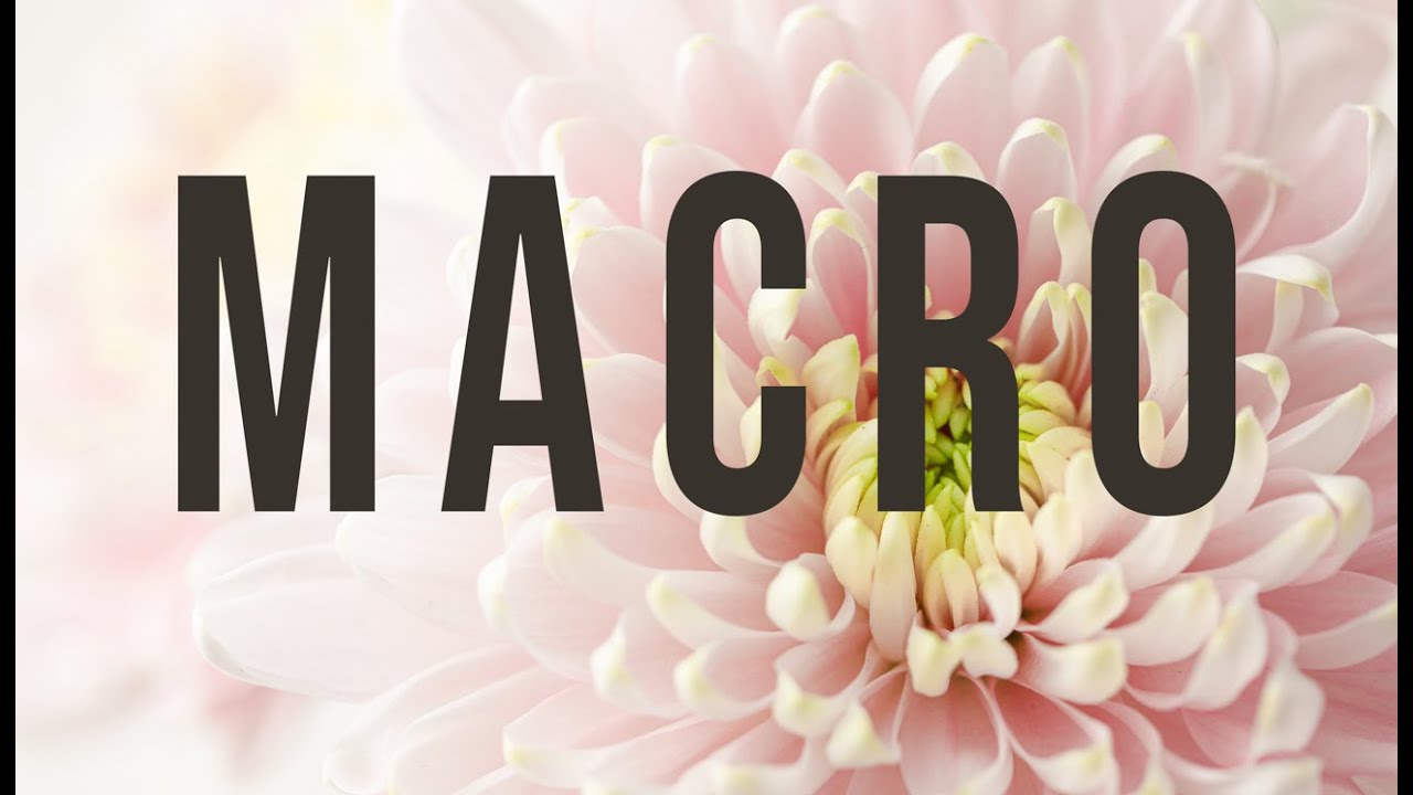 Rules of Macro Photography