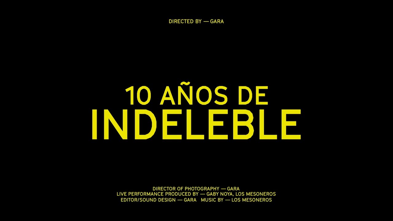 Los Mesoneros - Live 10 Años de Indeleble (Live Video)