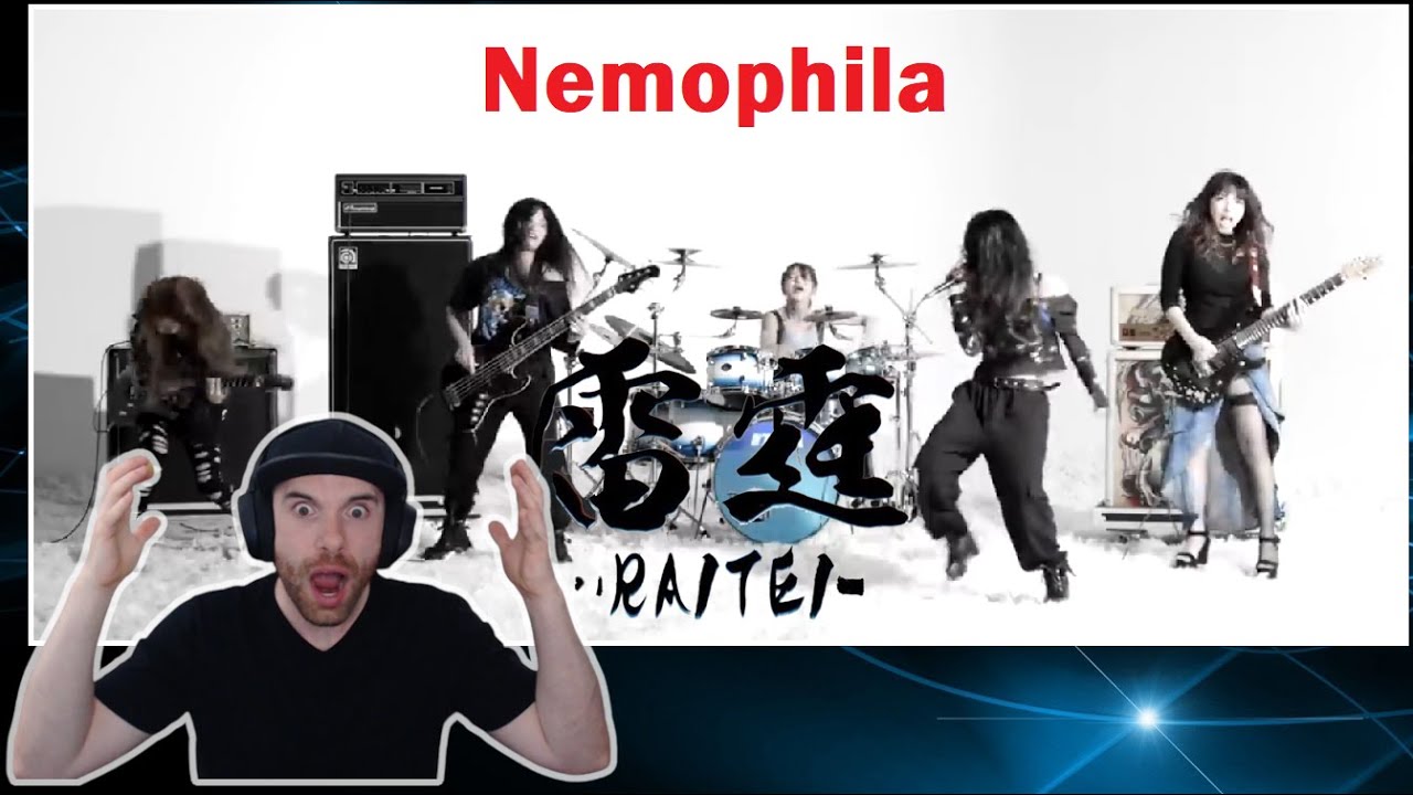 First Time Hearing | Nemophila | Raitei Reaction