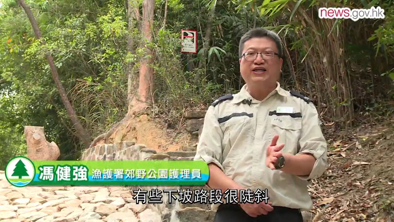 我在郊野公園上班 (24.5.2015)