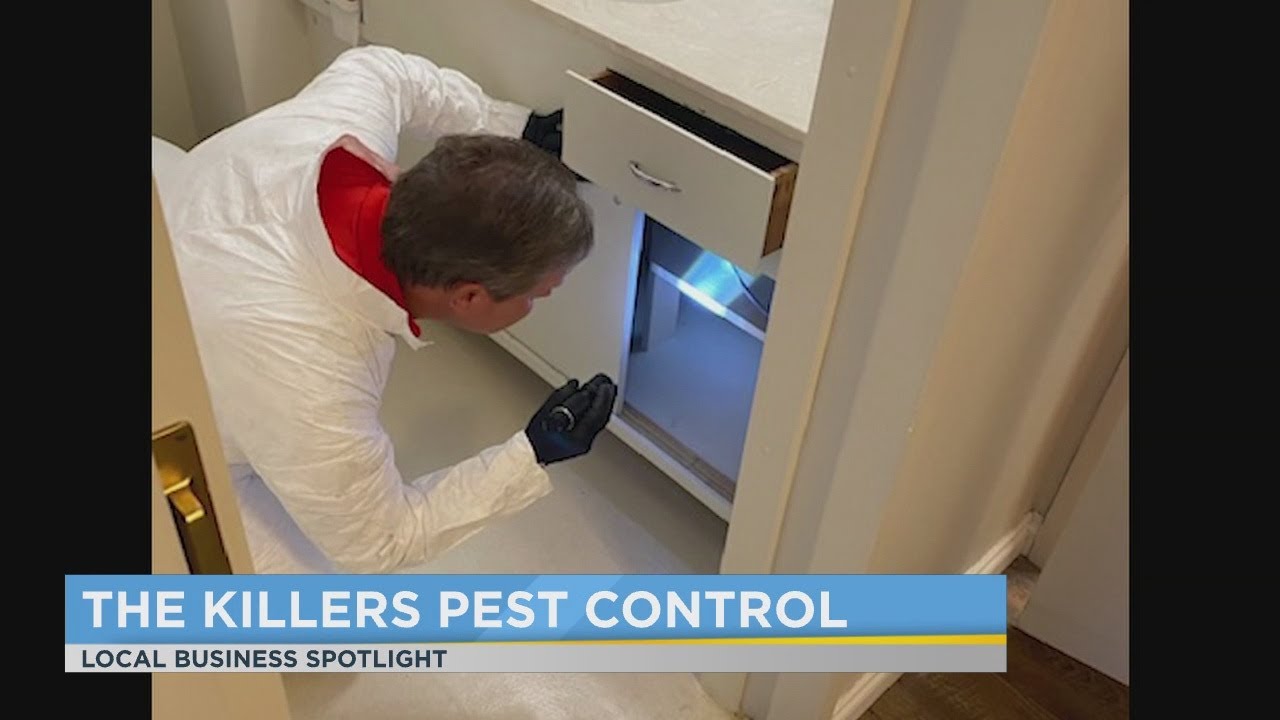 Local Business Spotlight: The Killers Pest Control